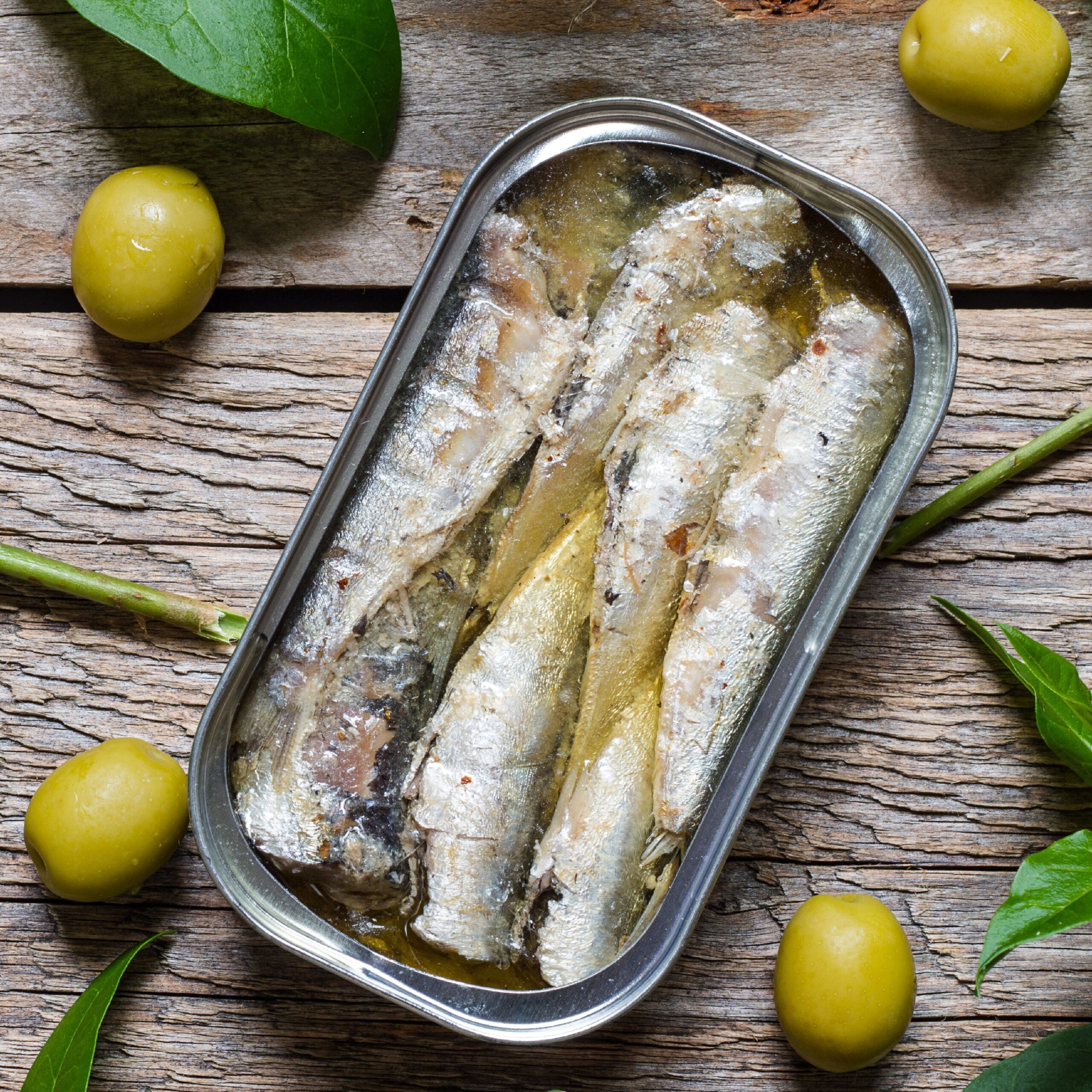 sardines