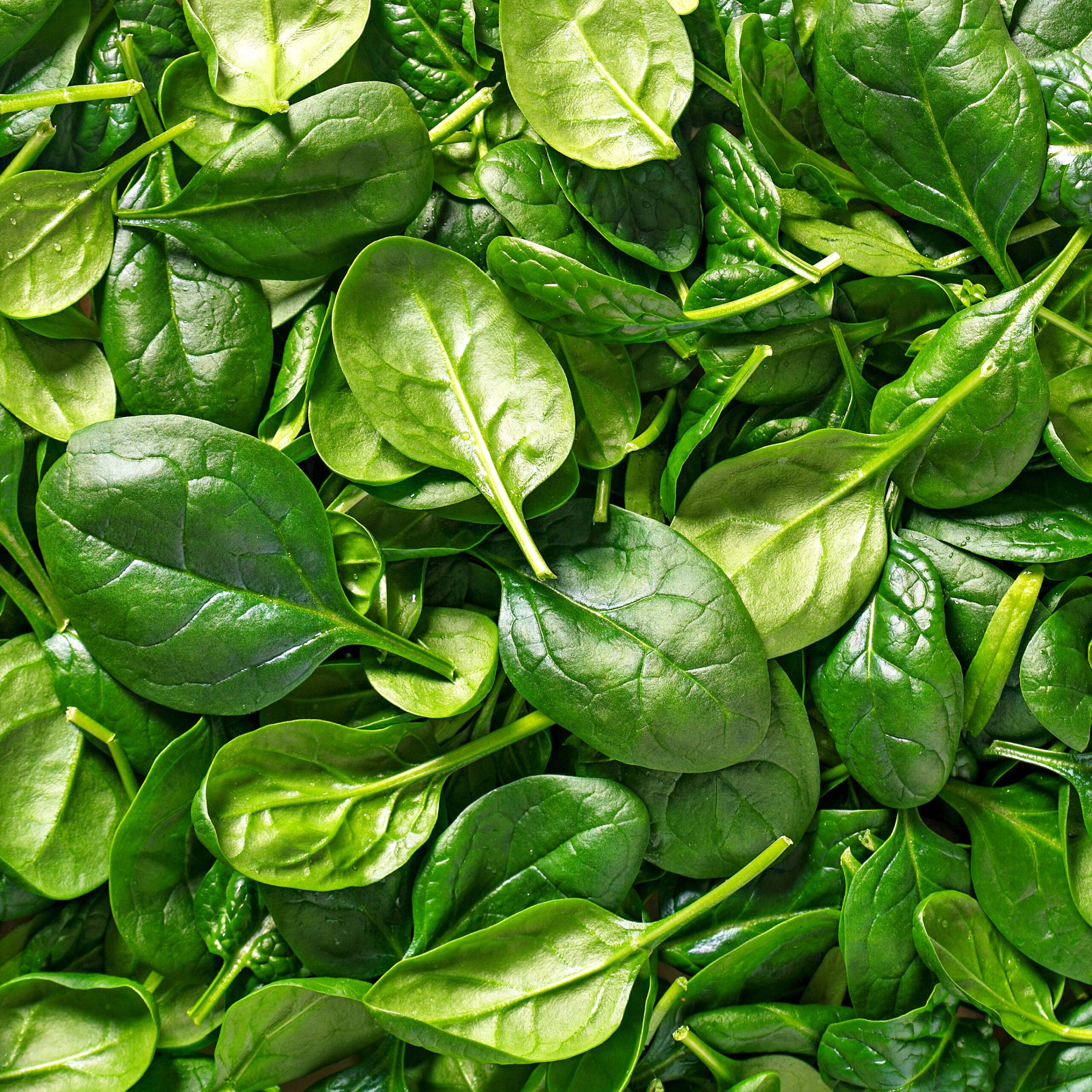 spinach