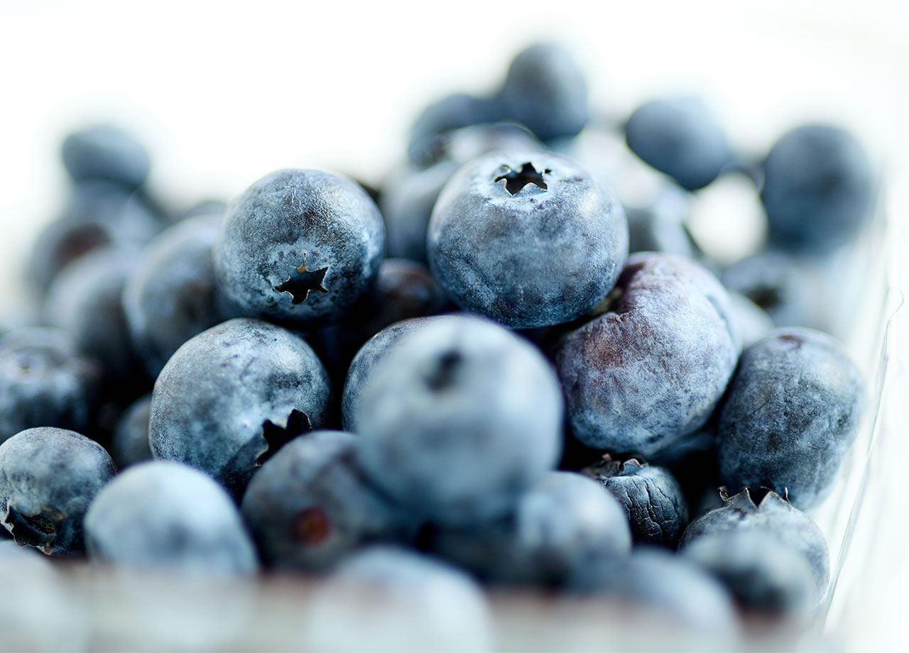 a close up view of a ceramic bowl filled with fresh blueberries