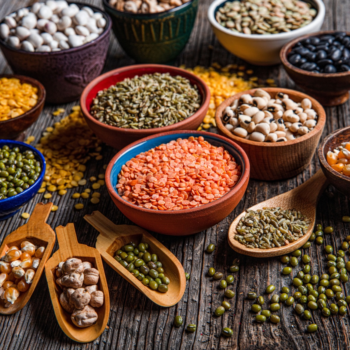 different types of legumes