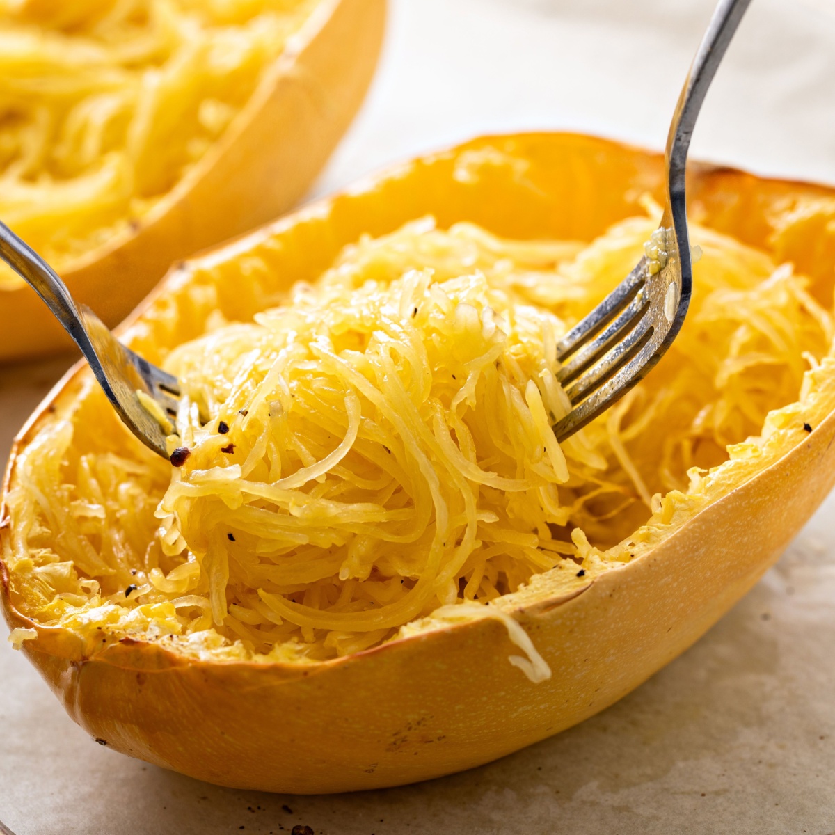 squash pasta