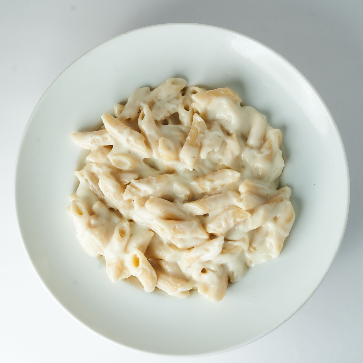 alfredo pasta