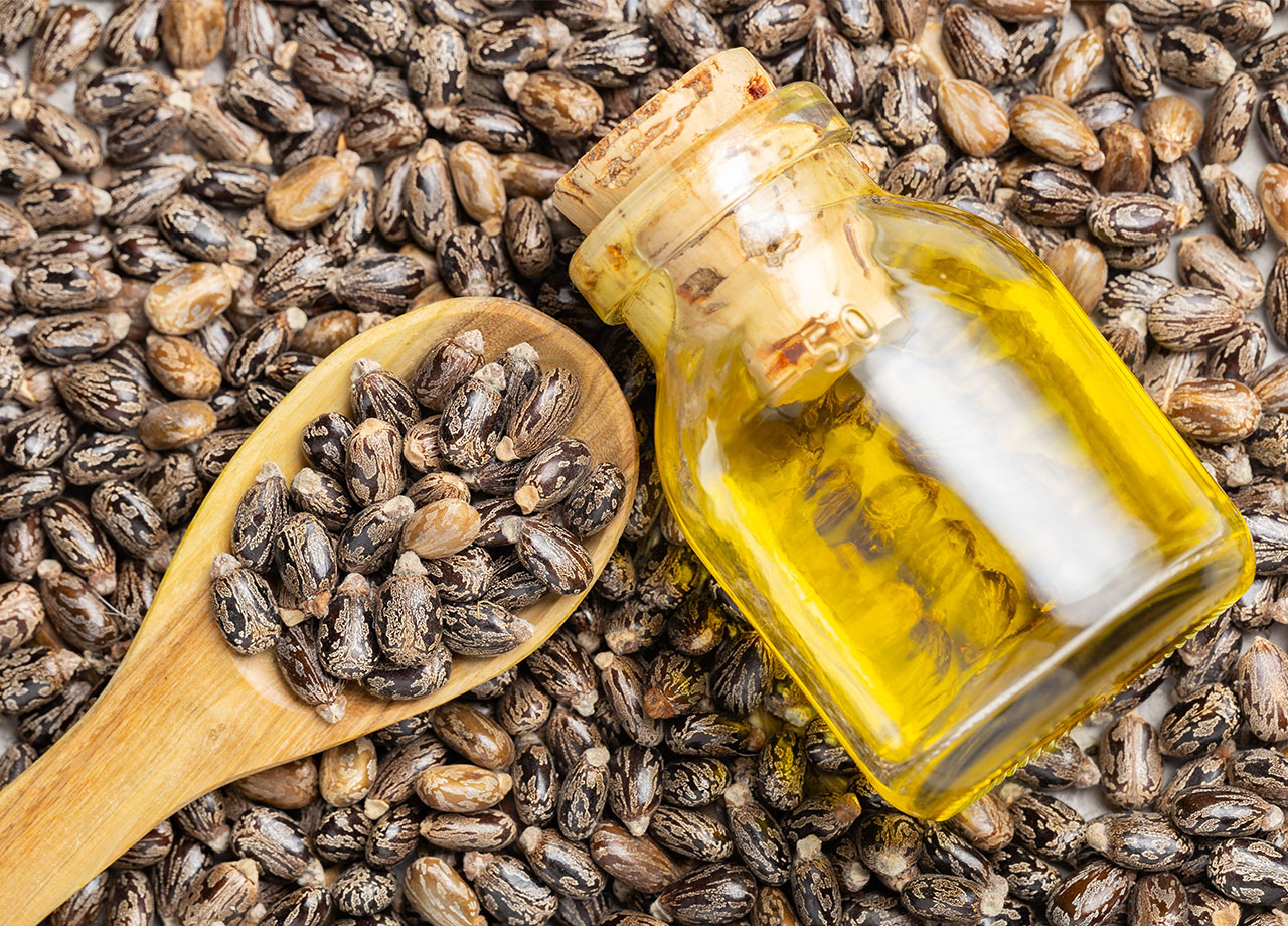 castor-oil-with-seeds