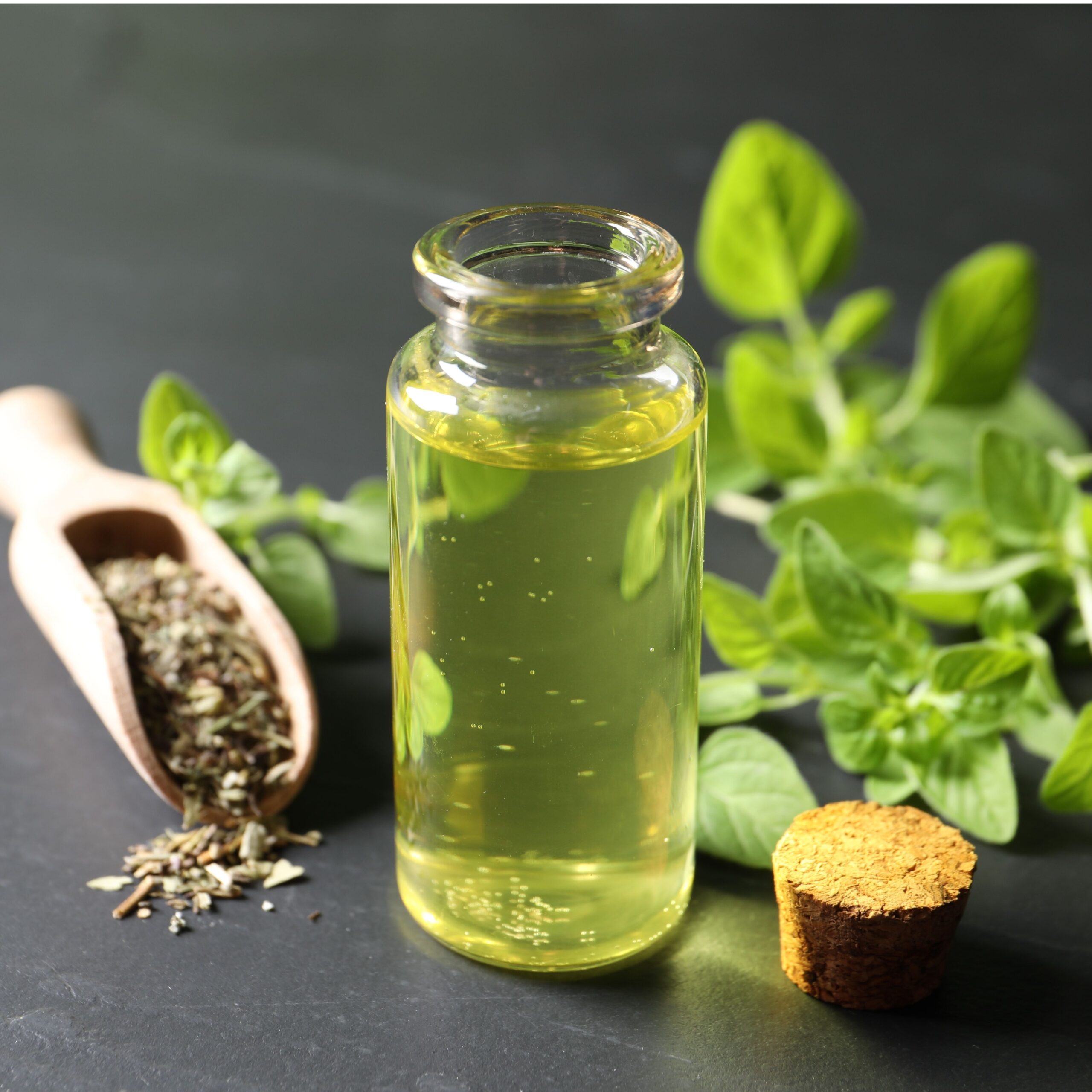 oregano oil