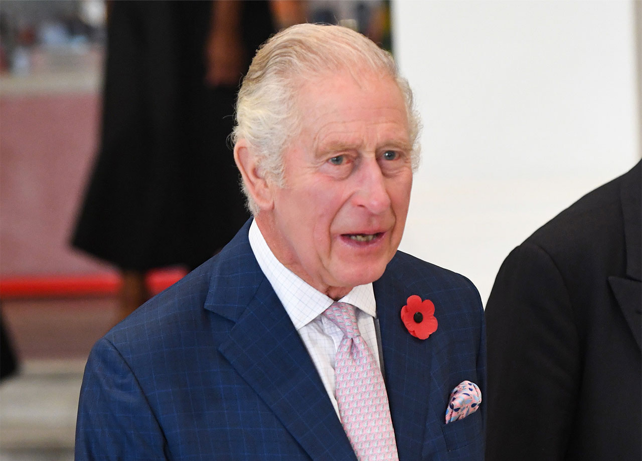 King Charles wears a red poppy at the Victoria and Albert museum