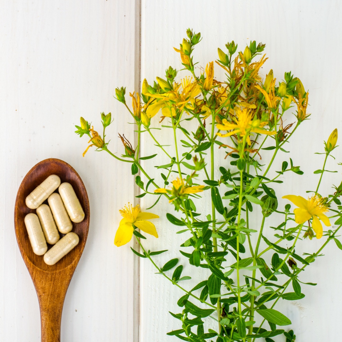 st john wort's plant and supplements