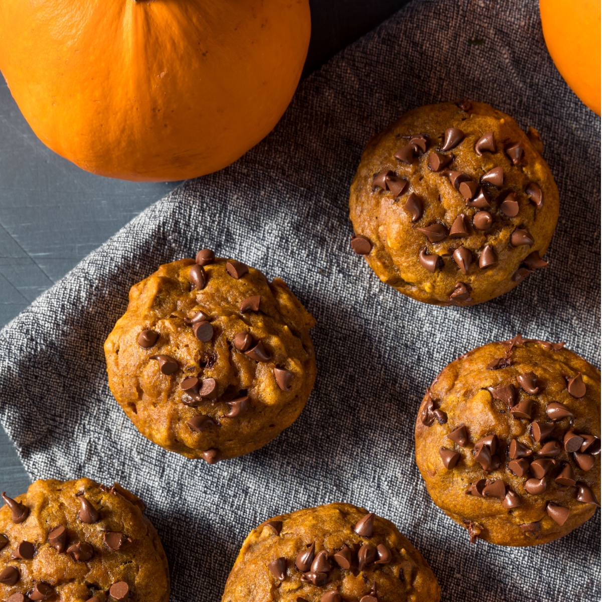 pumpkin chocolate chip muffins