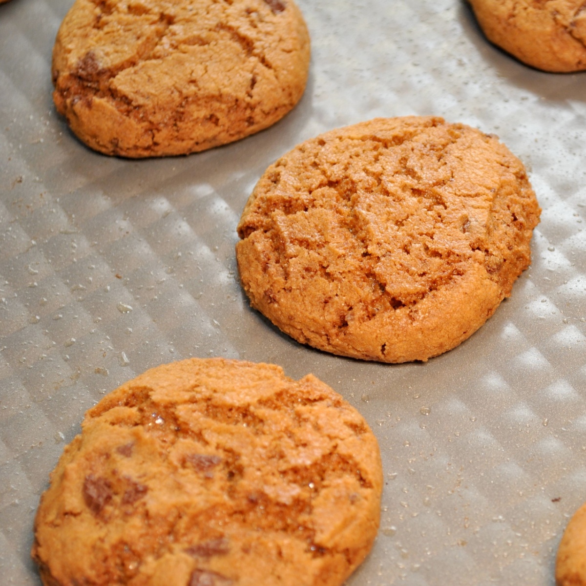 pumpkin cookies