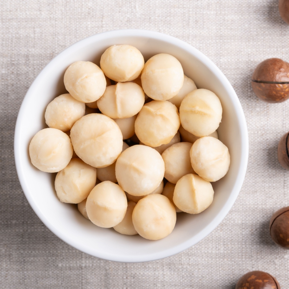 macadamia nuts