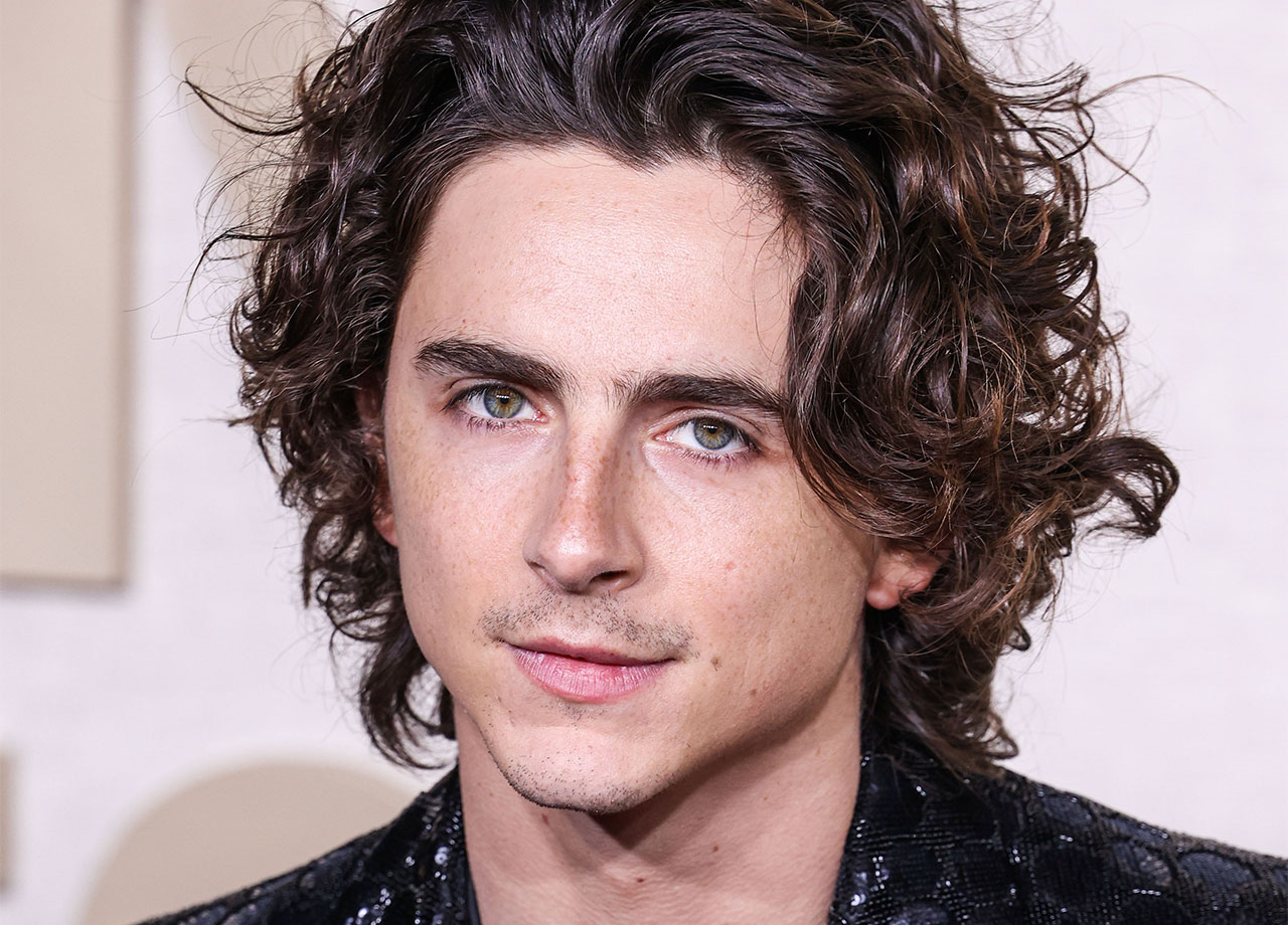 Timothée Chalamet 81st Annual Golden Globe Awards