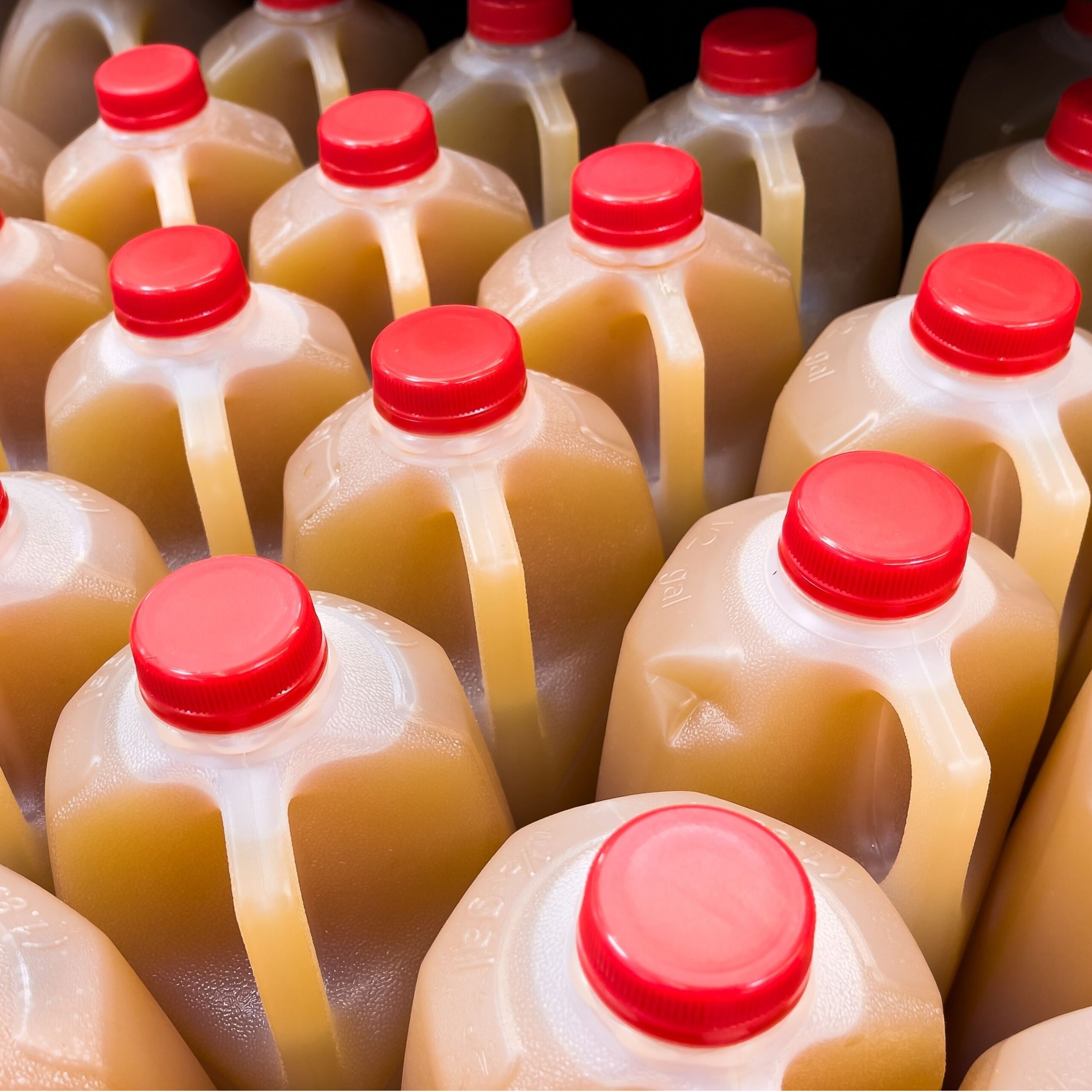 apple cider jugs