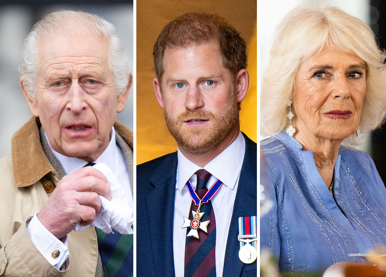 Prince Harry King Charles Queen Camilla