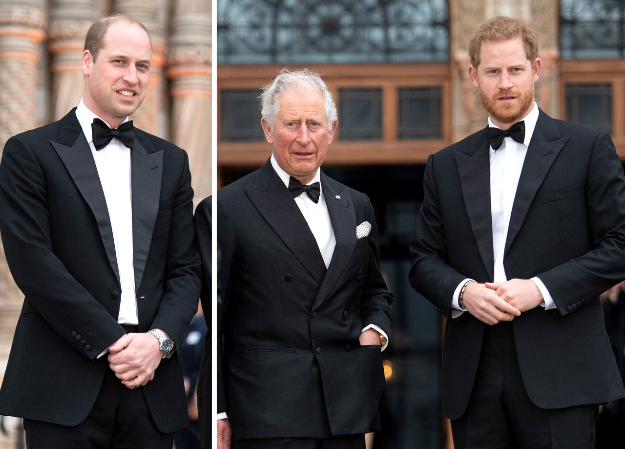 Prince William Prince Harry King Charles premiere of Our Planet