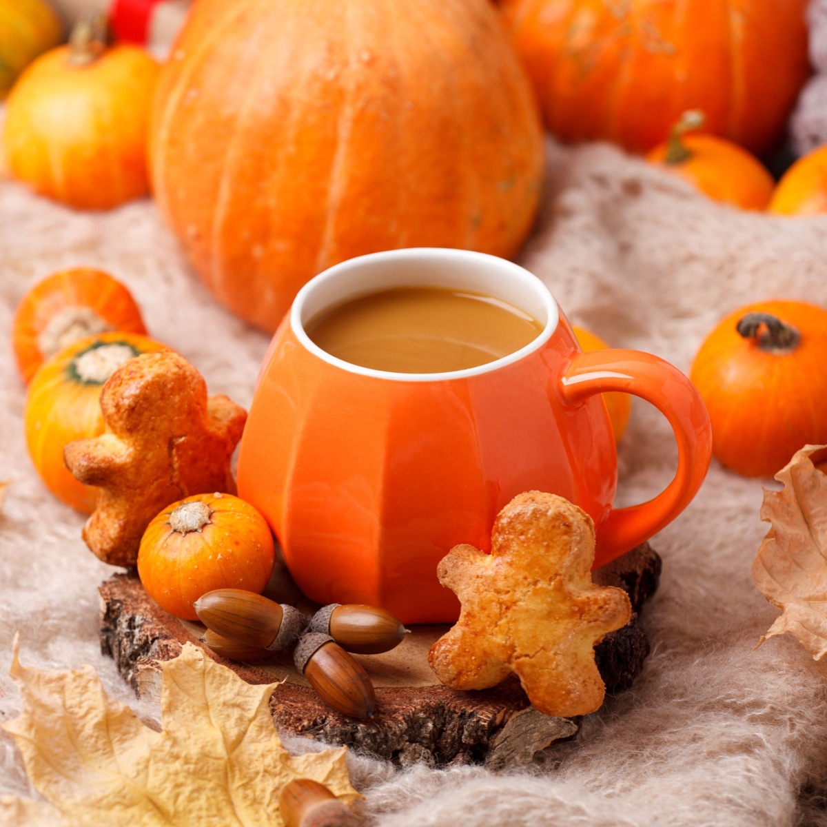 pumpkin spice coffee