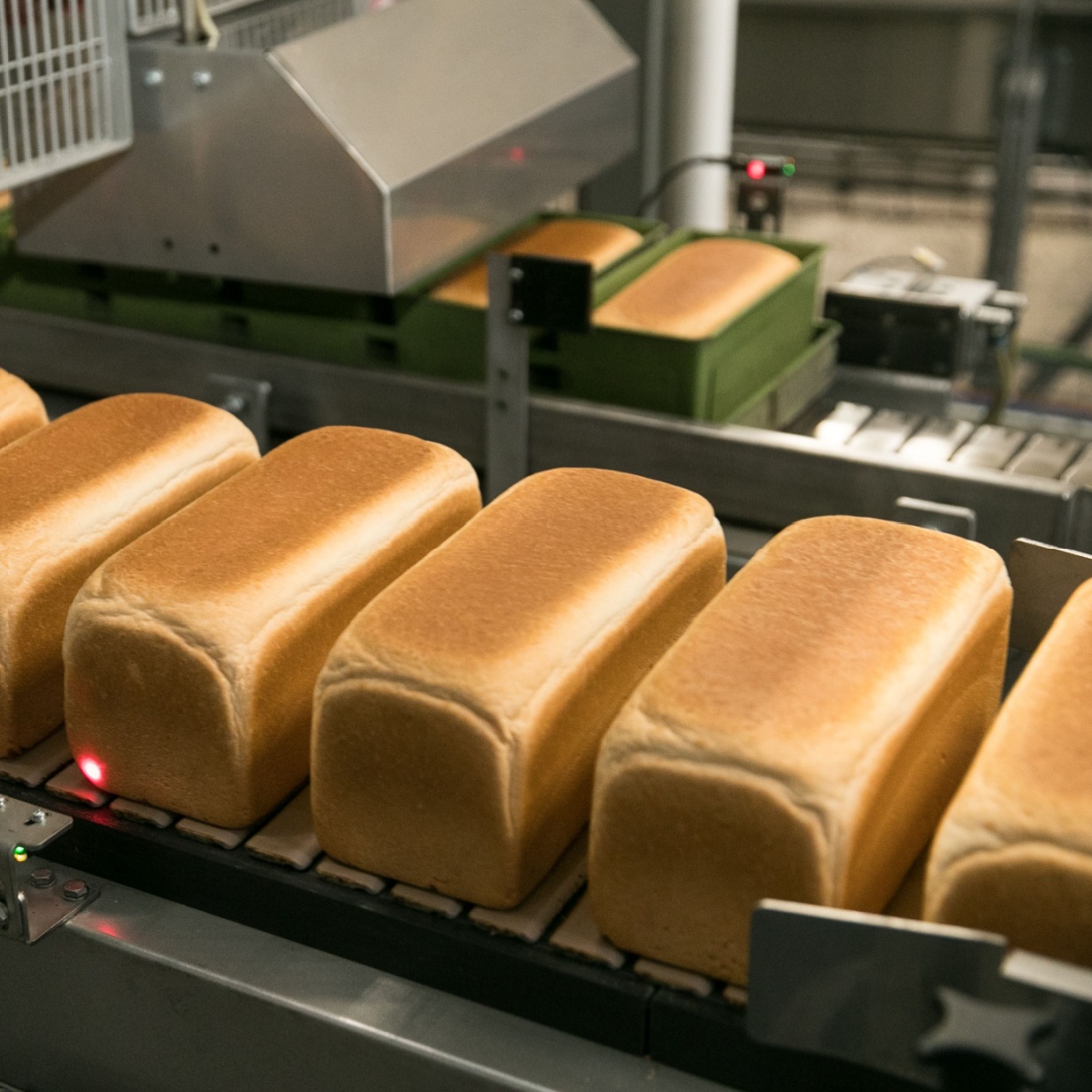 loafs of bread