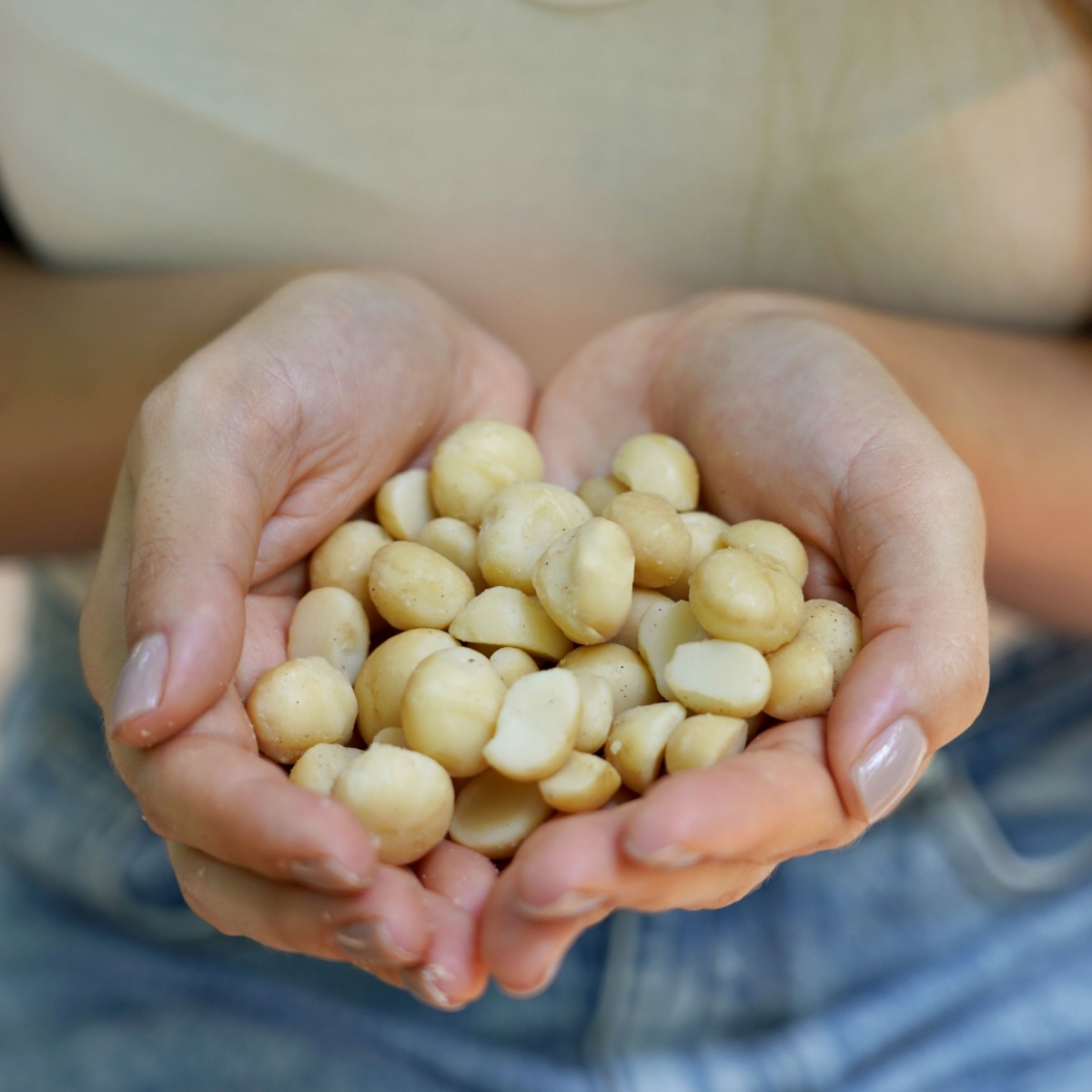 macadamia nuts