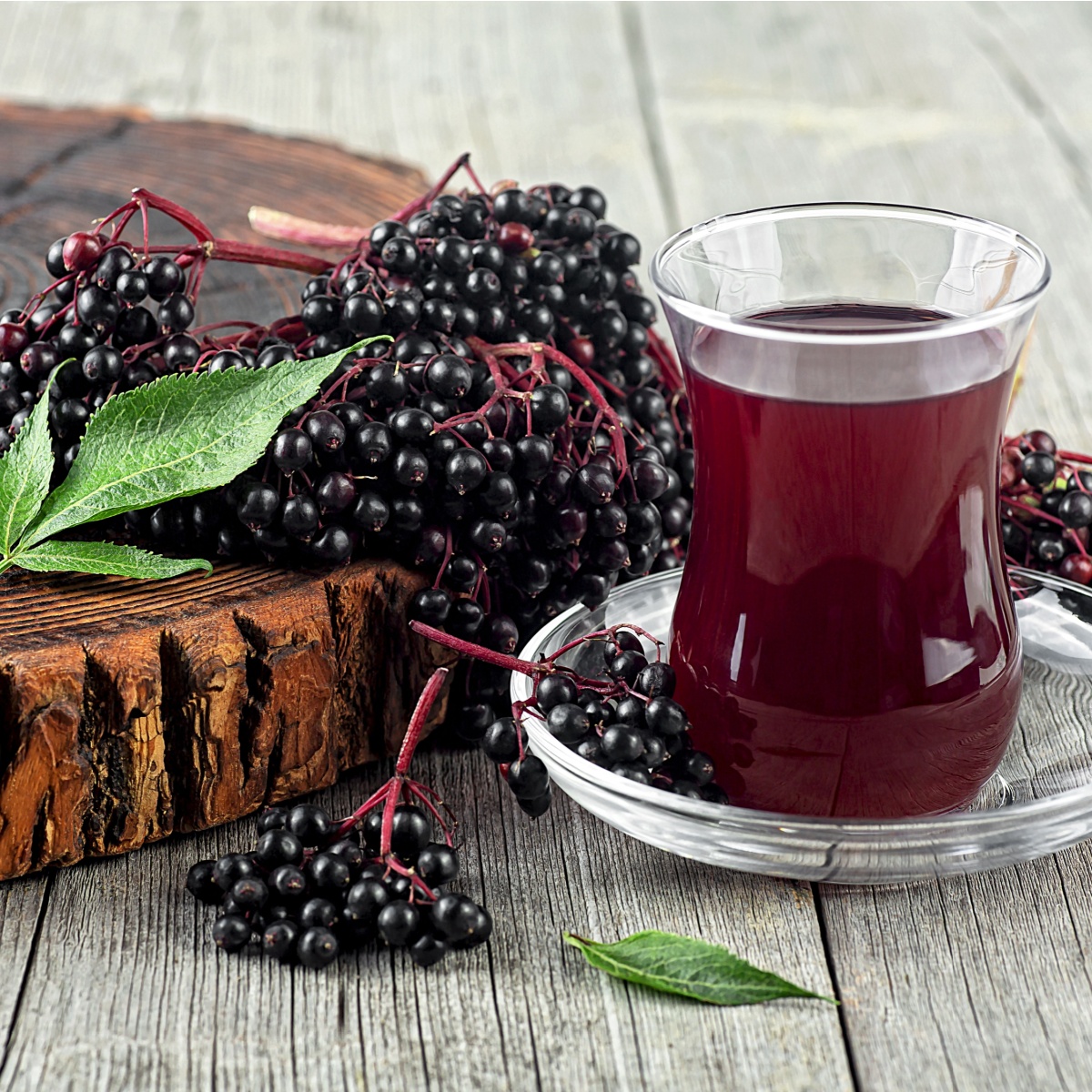 elderberry