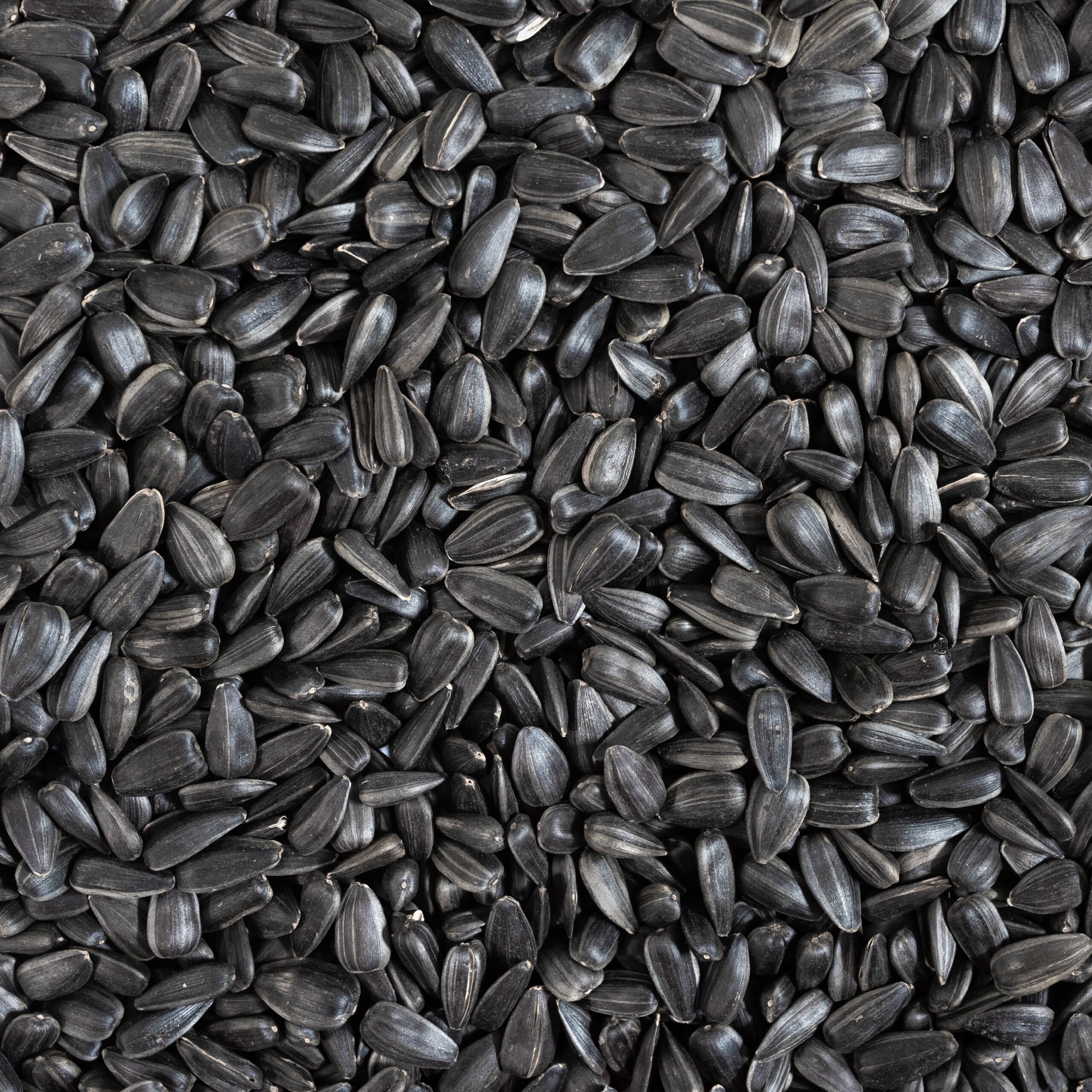 sunflower seeds