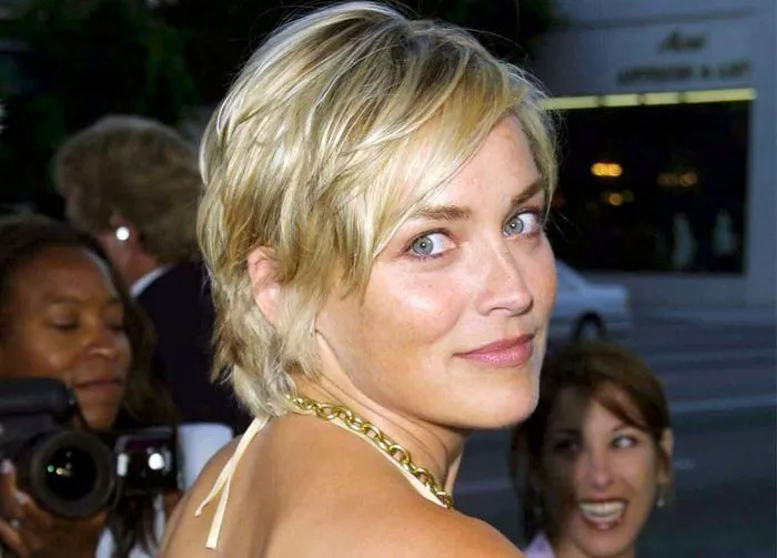 Sharon Stone AI Artificial Intelligence premiere 2001