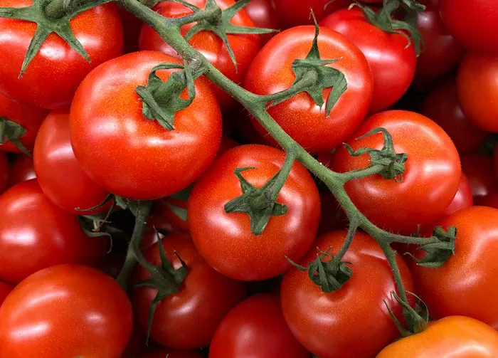 tomatoes