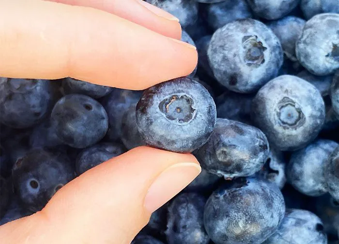 blueberries