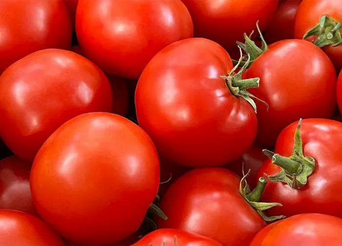 tomatoes