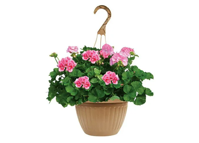 hanging flower basket