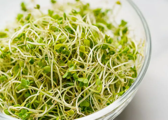 broccoli-sprouts