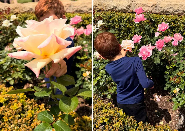 Meghan Markle and Prince Archie in the garden Instagram picture