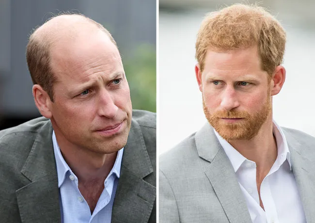 Prince Harry and Prince William