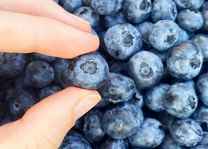 blueberries