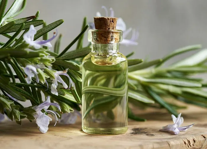 rosemary-oil