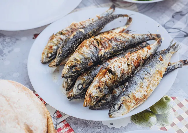 sardines
