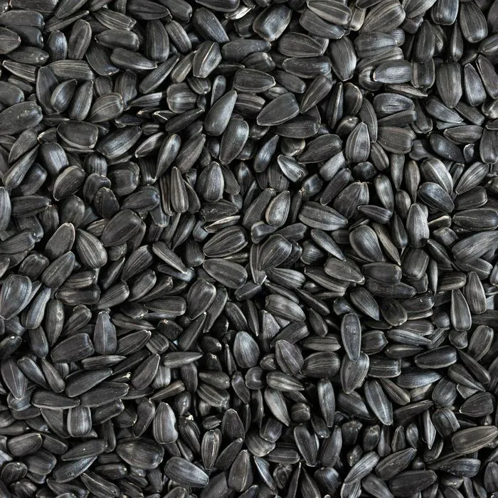 sunflower seeds
