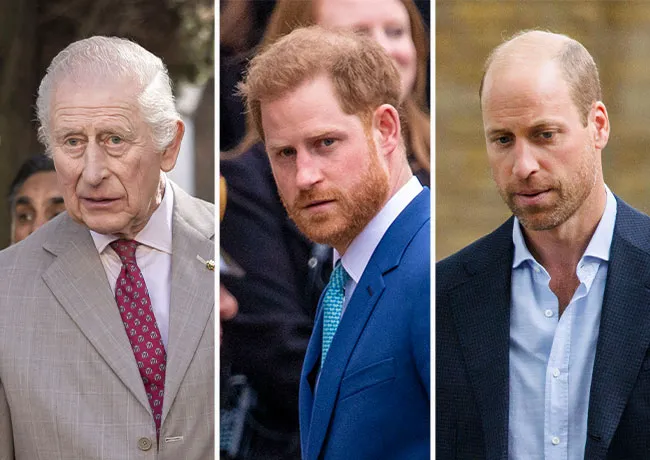 King Charles Prince Harry Prince William