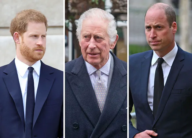 king charles prince william prince harry