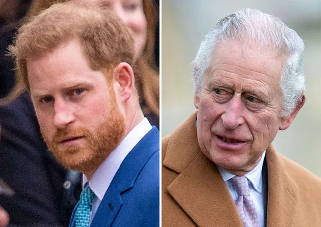 Prince Harry and King Charles