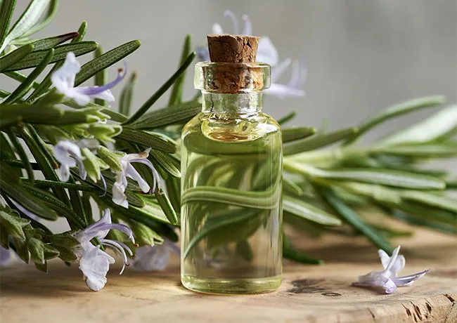 rosemary-oil