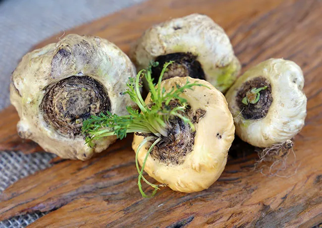 maca-root