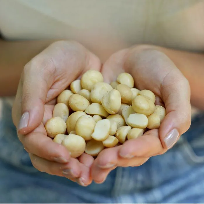 macadamia nuts
