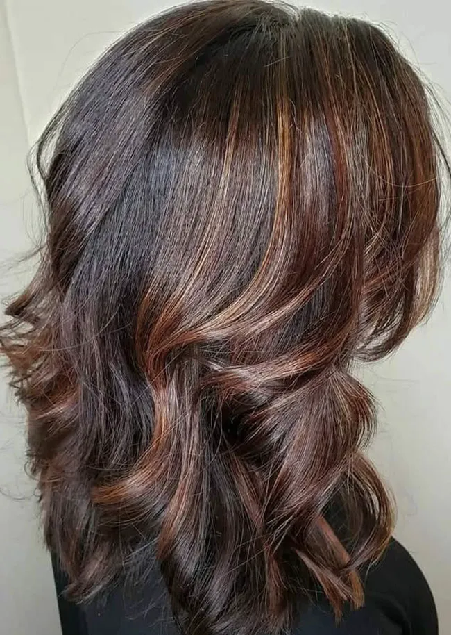 cinnamon-highlights