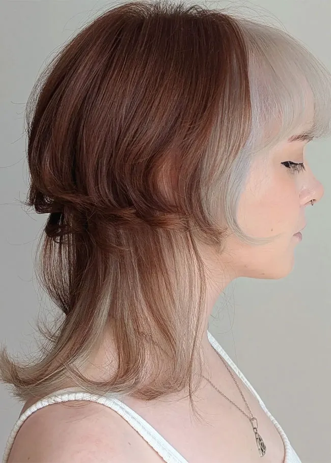 jellyfish-cut