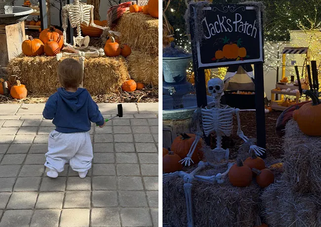 Jack Bieber pumpkin patch