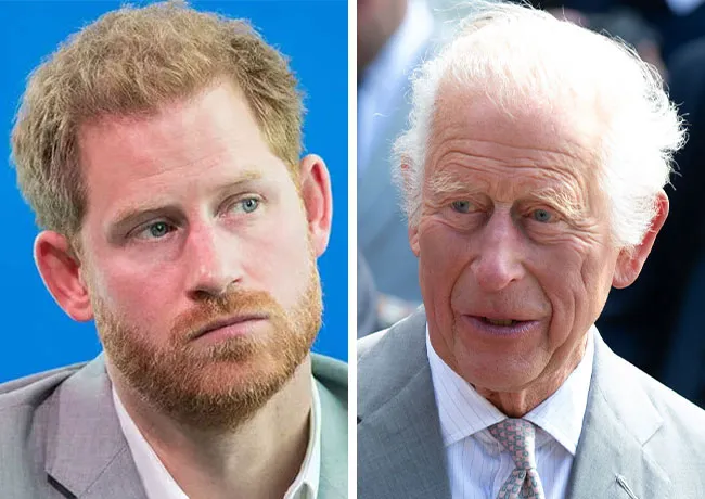 Prince Harry and King Charles grey suits