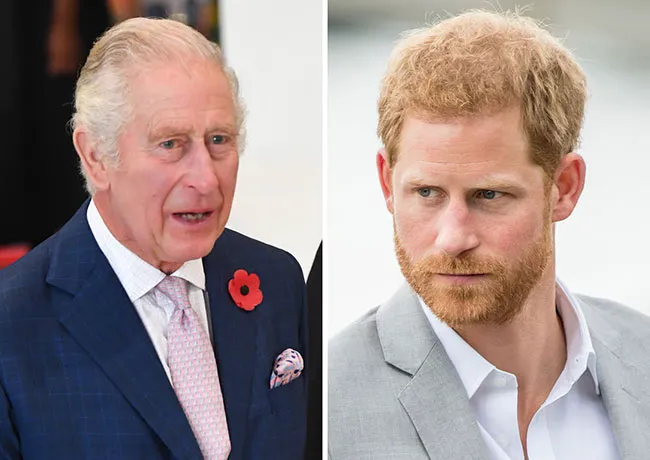 Prince Harry and King Charles