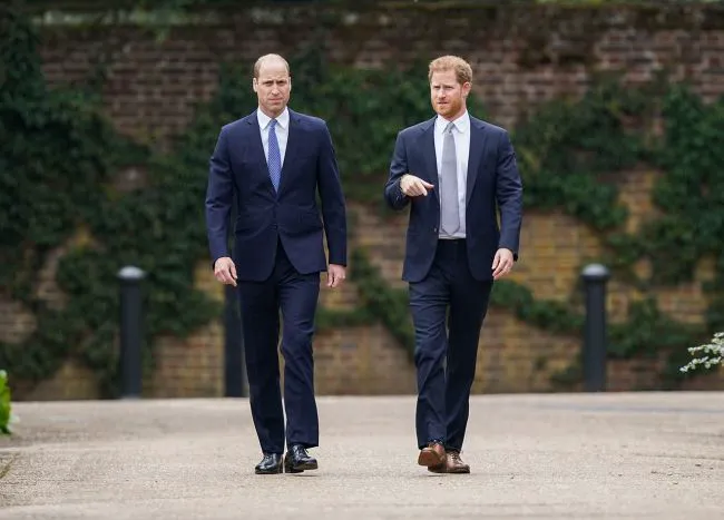 Prince Harry and Prince William walking in the garden
