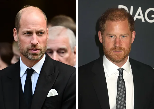 Prince Harry and Prince William