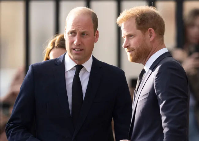 prince william prince harry