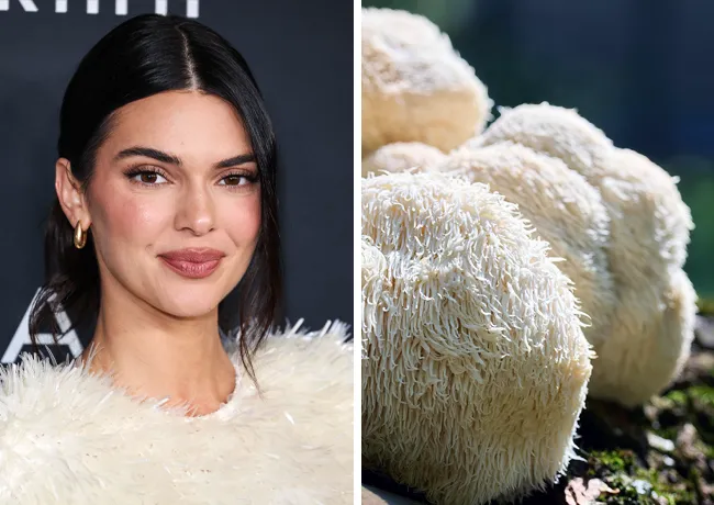 Kendall Jenner 20th annual L'Oreal Paris Women of Worth Celebration Bottega Veneta dress lion's mane mushroom