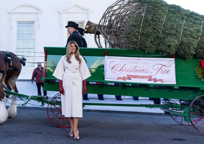 Melania Trump welcomes White House Christmas tree 2025